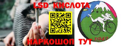 индика Лесосибирск