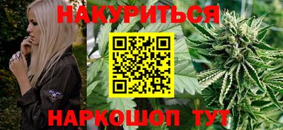 индика Лесосибирск