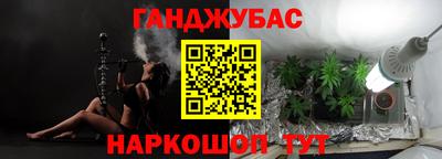 индика Лесосибирск