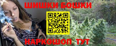 индика Лесосибирск