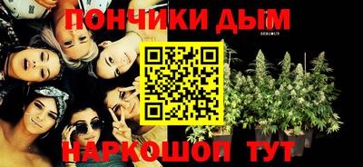 индика Лесосибирск